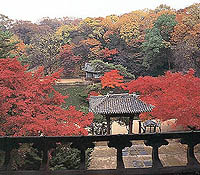 Biwon2