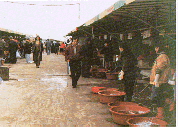 Daemyong Port Fish Market